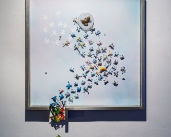 17_Cinzia Ruggeri, Piovono Rane, 2018, mixed media, plastic frogs, artist frame, 80 x 60 x 10 cm (framed), ph OKNOstudio